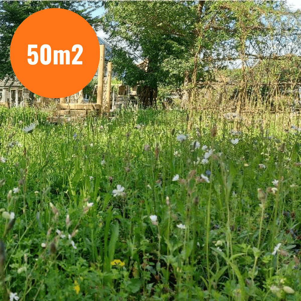 FORMOSA WILDFLOWER TURF 50m2 FORMOSA WILDFLOWER GARDEN TURF 50m2